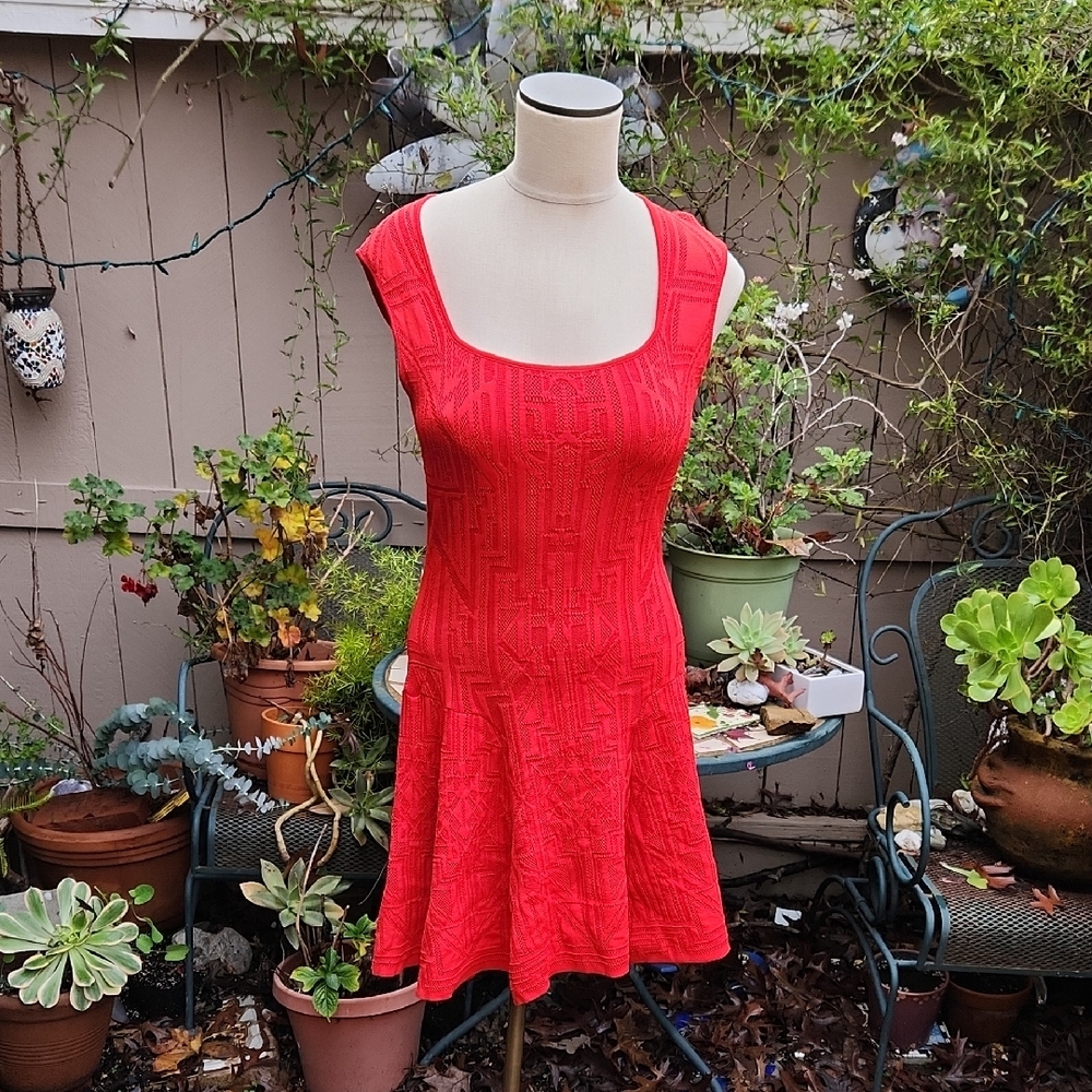 RVN Dress Size Large